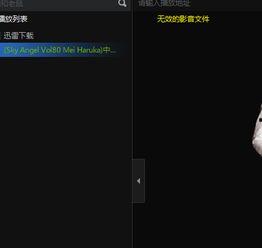 计算机病毒视频,视频解析病毒传播与防护策略