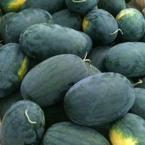 黑瓜里面的籽怎么吃的呢,黑瓜籽的多样食用方法揭秘