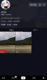 抖音视频播放量,播放量破百万的短视频背后的秘密