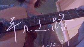 平凡之路弹唱视频,温暖旋律，唤醒心中梦想之旅