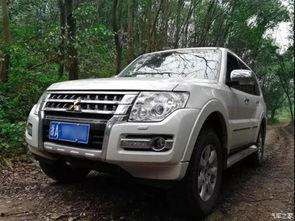 帕杰罗越野视频大全在线观看,全方位视频大全在线赏析