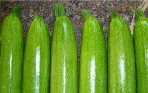 白瓜今日价格,白瓜市场动态一览