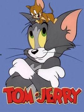 猫和老鼠的视频,欢乐搞笑的动画对决