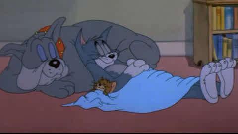 猫和老鼠的视频,欢乐搞笑的动画对决