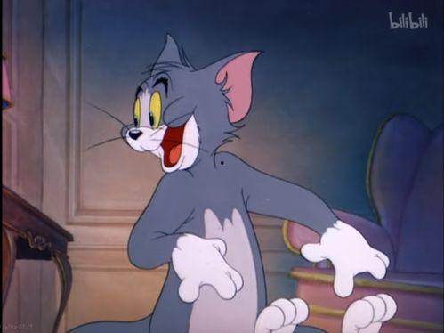 猫和老鼠的视频,欢乐搞笑的动画对决