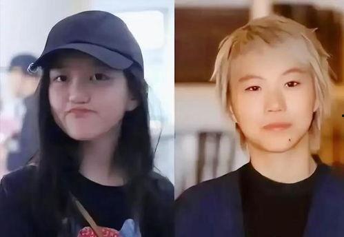 日本无遮挡视频,揭秘日本无遮挡视角下的真实生活画卷