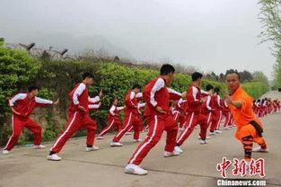 少林小洪拳教学视频02,基础动作与技巧解析