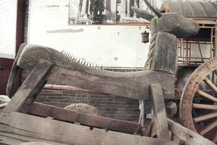 骑木驴视频,一场别开生面的视觉盛宴