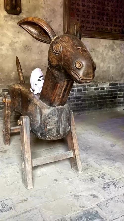 骑木驴视频,一场别开生面的视觉盛宴