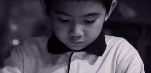 催人泪下的感人视频,那些触动心灵的感人瞬间