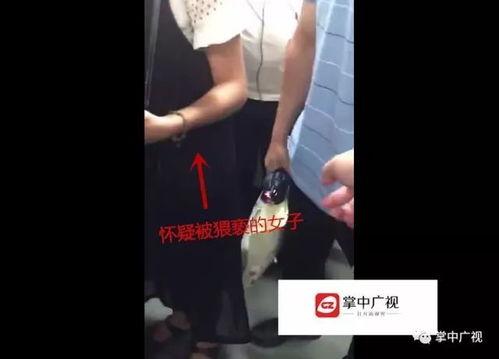 女生拉裤子视频,女生不慎拉裤子，视频记录全过程