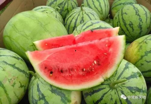 今日吃瓜免费吃瓜爆料两年半,免费吃瓜背后的秘密大曝光