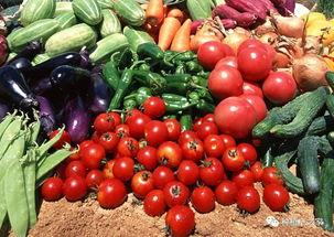 上海今日瓜菜价格表,市民菜篮子成本几何？