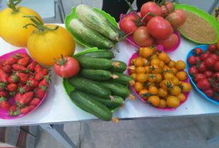 上海今日瓜菜价格表,市民菜篮子成本几何？