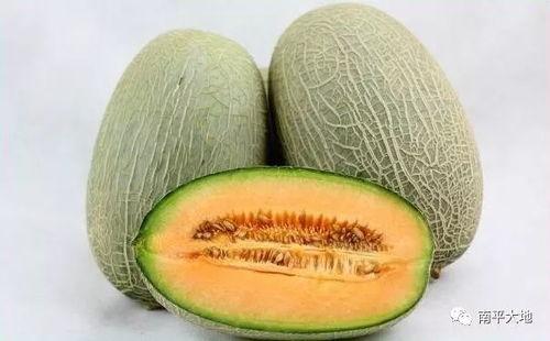 民勤哈密瓜今日价格表,新鲜上市，品质优价实