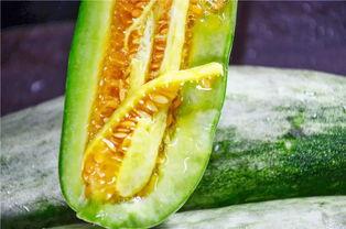 被吃瓜爆料的网红有哪些