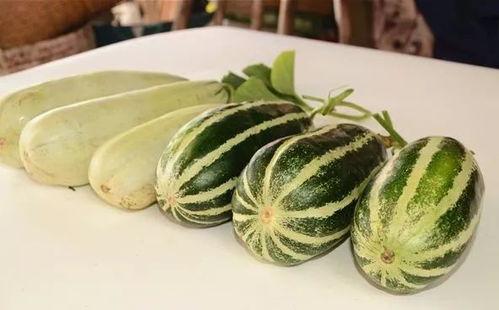 被吃瓜爆料的网红有哪些