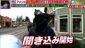 日本人69视频,一场跨越国界的激情碰撞