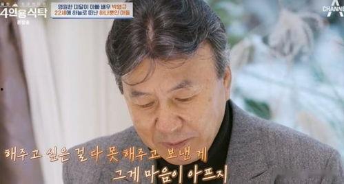 黄色视频一级的,深度剖析与警示