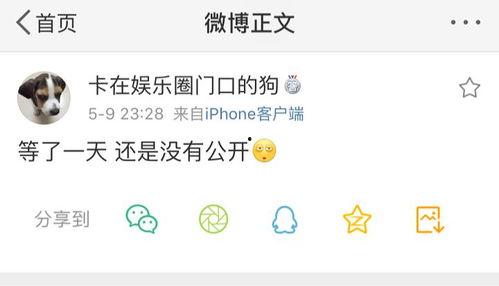 吃瓜爆料账号是什么,吃瓜爆料账号背后的真相与内幕