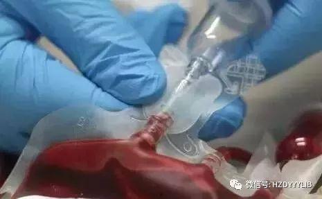 亲阴蒂视频,一场视觉与心灵的亲密之旅