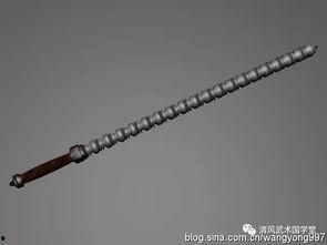 九节鞭教学视频,掌握传统武术精髓的实战指南