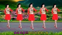 红尘蝶恋广场舞视频,广场舞中的浪漫时光