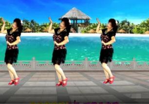 红尘蝶恋广场舞视频,广场舞中的浪漫时光