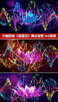 蓝莲花舞蹈视频,一场视觉与心灵的舞蹈盛宴