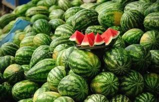 天然琪黑料吃瓜,吃瓜群众如何解读娱乐圈风云