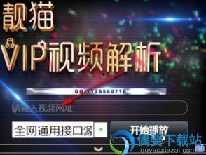 视频vip在线解析,畅享独家内容，轻松解锁影视宝藏