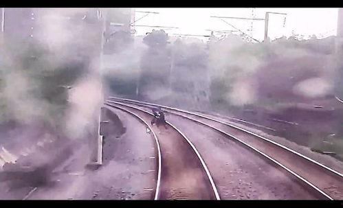 吸逼视频,娱乐与道德的边界