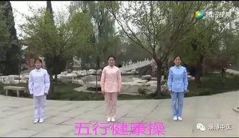 养生操视频,打造健康生活新篇章