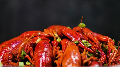 龙虾小视频,探秘海鲜美食的魅力瞬间