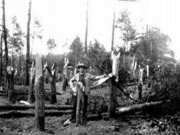 空中怪车事件视频,神秘现象背后的真相揭秘