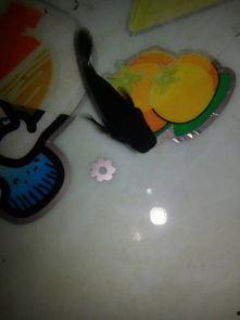 金鱼生小鱼视频,揭秘繁殖奇观