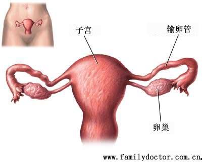 开腹式输卵管结扎视频,开腹式输卵管结扎手术过程详解