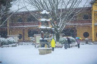 东林寺早晚课视频,一场穿越时空的禅修之旅