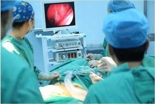 很黄的丰胸视频播放,热门“很黄”丰胸视频背后的真相与技巧