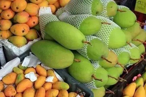 海南水果吊瓜今日价格,新鲜采摘，实惠之选