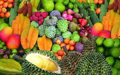 海南水果吊瓜今日价格,新鲜采摘，实惠之选