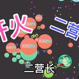 免费怕怕怕怕视频,揭秘惊悚悬疑背后的心理奥秘