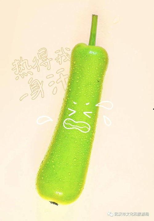 武汉今日吃瓜,吃瓜群众聚焦最新民生话题