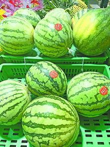 武汉今日吃瓜,吃瓜群众聚焦最新民生话题