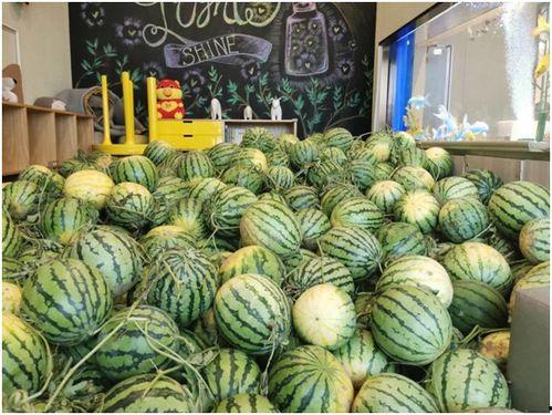 黑料吃瓜中心今日吃瓜武汉万科,黑料吃瓜中心今日聚焦热点事件