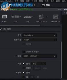 达芬奇导出视频,探索视频生成技术的创新突破