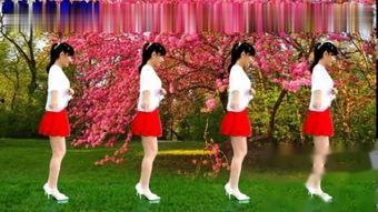 24步广场舞教学视频,轻松入门，舞动健康生活