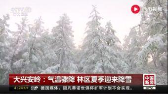 林海雪原过坎子视频,挑战极限的冰雪征途